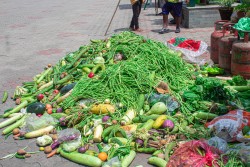 मानवसेवा आश्रम हेम्जामा  मुठ्ठीदानबाट संकलित तरकारी (फाेटाे फिचर)