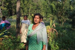 वनको खाली जग्गामा खेती गरेर आम्दानी गर्दै महिला