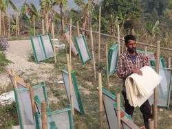 इन्टरनेटमा हेरेरै केराको खम्बाबाट कागज उत्पादन