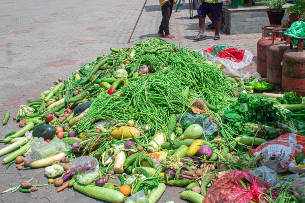 मानवसेवा आश्रम हेम्जामा  मुठ्ठीदानबाट संकलित तरकारी (फाेटाे फिचर)